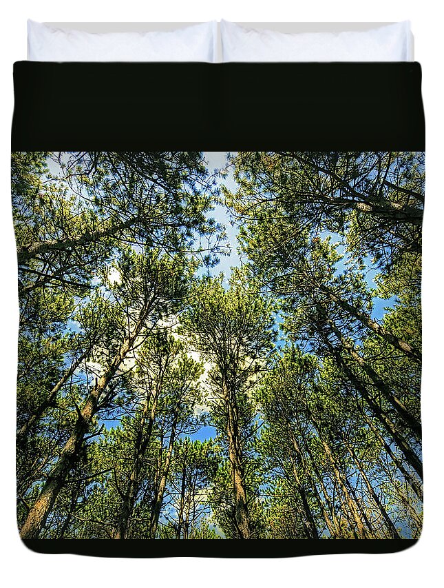 Crystal Lake Il Duvet Cover featuring the photograph Crystal Lake il Pine Grove and sky by Tom Jelen