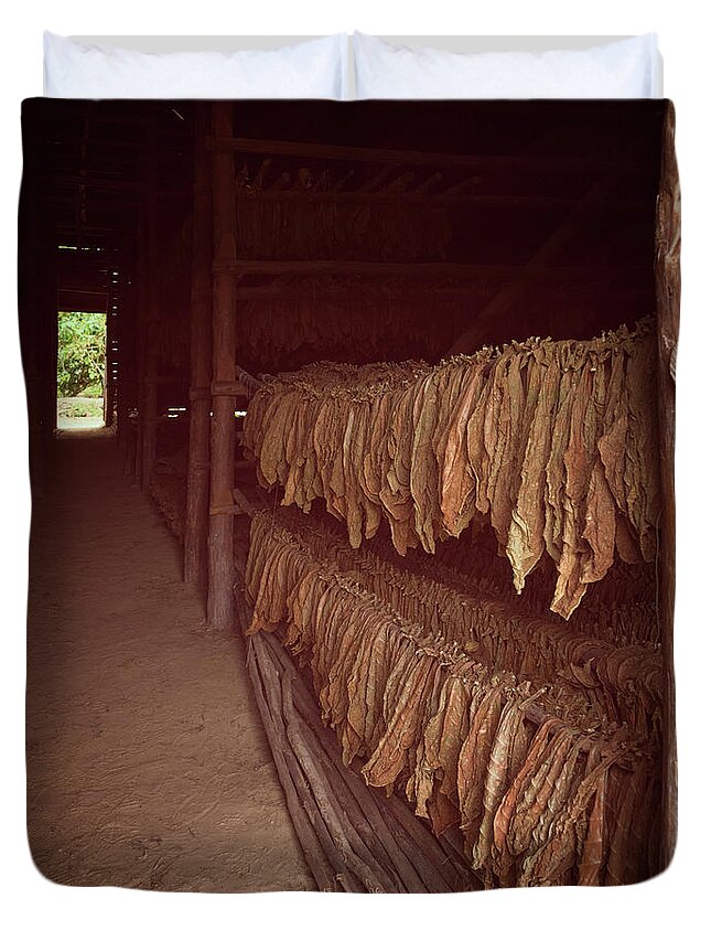 Joan Carroll Duvet Cover featuring the photograph Cuban Tobacco Shed by Joan Carroll