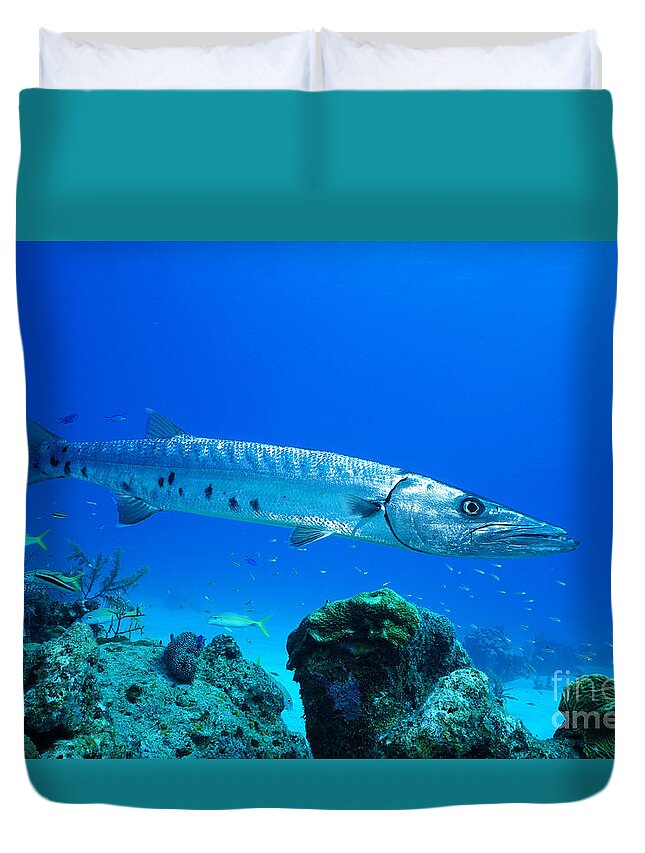 Barracuda Duvet Cover featuring the photograph Shimmer by Aaron Whittemore