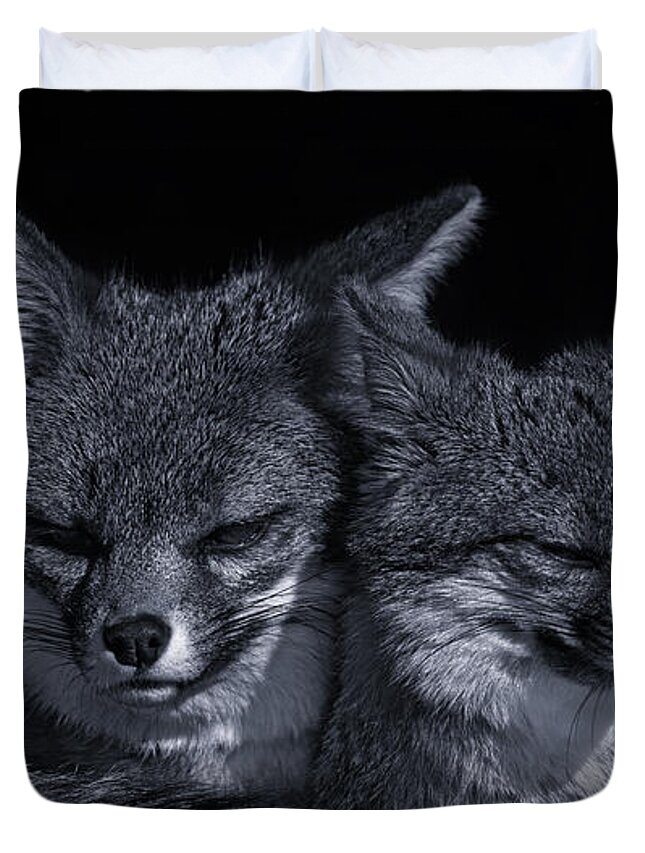 Animal Duvet Cover featuring the photograph Cuddle Buddies by Brian Cross