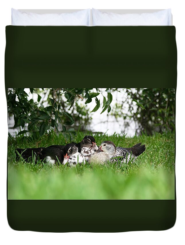 Cuddling Duvet Cover featuring the photograph Cuddle Buddies by David S Reynolds