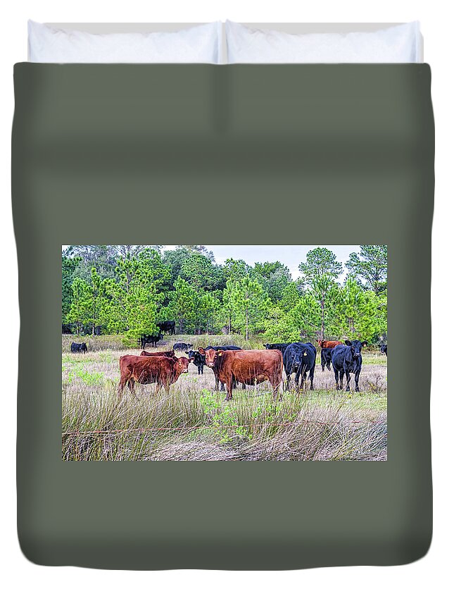 Agriculture Duvet Cover featuring the photograph Curiosity by Scott Hansen