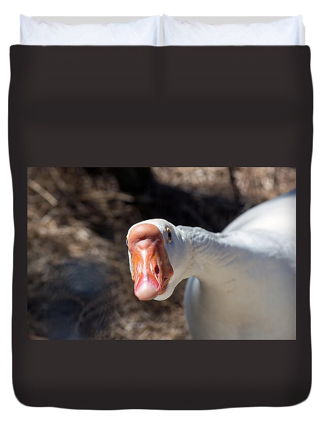 Goose Duvet Cover featuring the photograph Curious Goose by Kenneth Albin