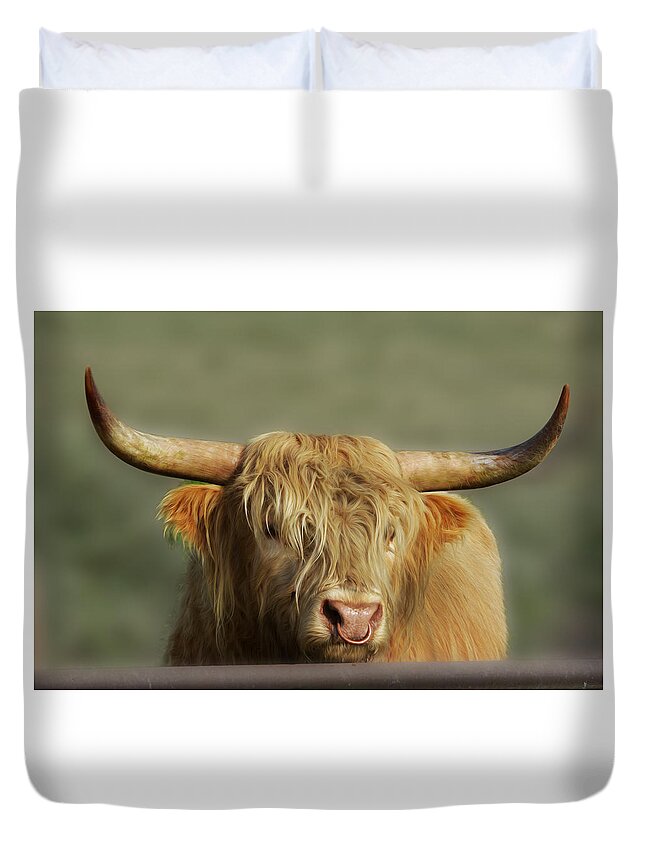Highland Cow Duvet Cover featuring the photograph Curious Highlander by Veli Bariskan