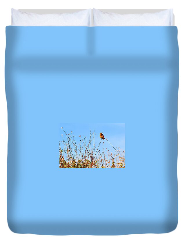 Hummer Duvet Cover featuring the photograph Curious by Lynn Bauer