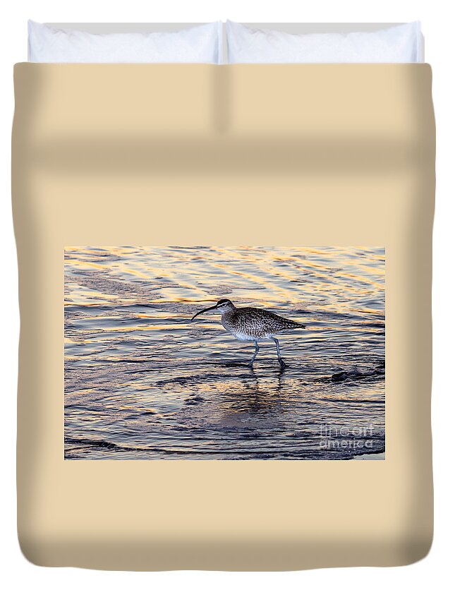 Curlew Duvet Cover featuring the photograph Curlew at sunset by Shawn Jeffries