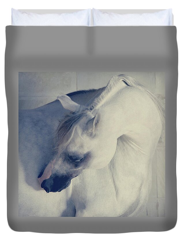 Russian Artists New Wave Duvet Cover featuring the photograph Curves by Ekaterina Druz