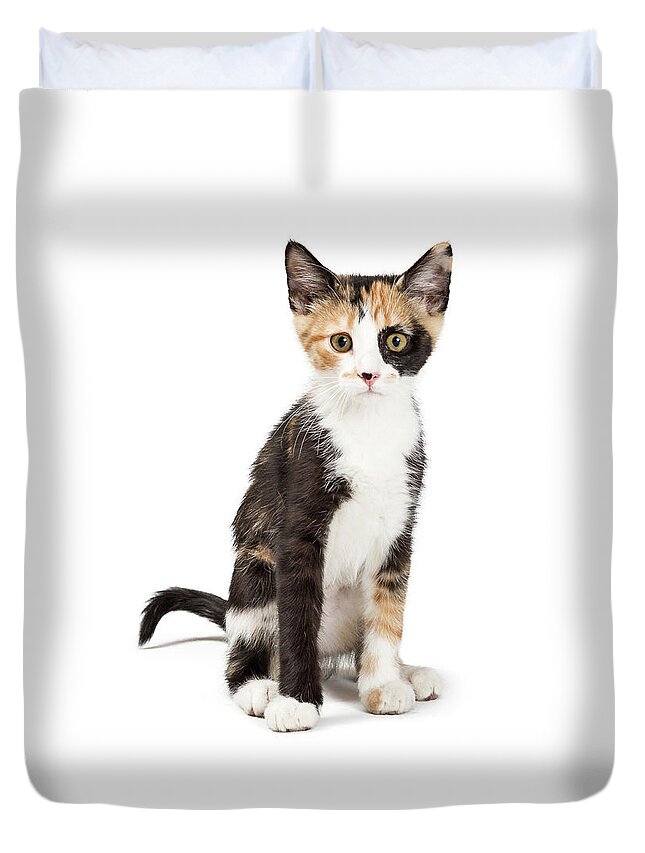 White Background Duvet Cover featuring the photograph Cute Calico Kitten Sitting Looking Forward Isolated by Good Focused