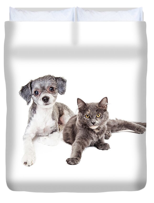 Adorable Duvet Cover featuring the photograph Cute Grey Kitten and Puppy Laying Together by Good Focused