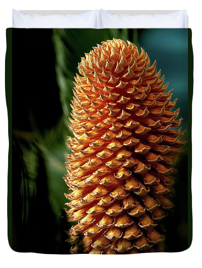 Plant Duvet Cover featuring the photograph Cycad Cone by Christopher Holmes