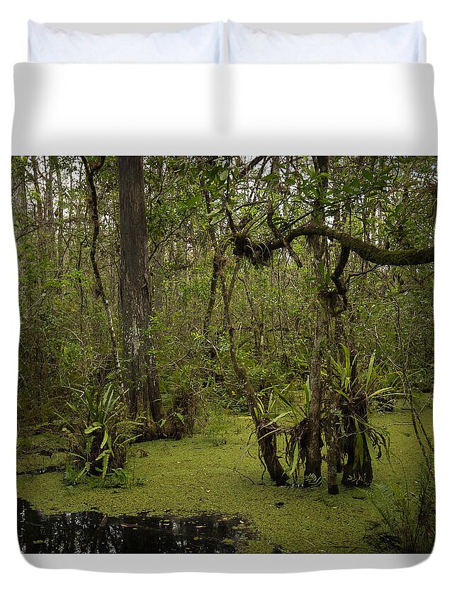 Nature Duvet Cover featuring the photograph Cypress Forest by George Kenhan