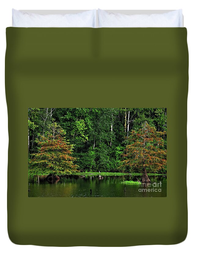 Greenville Duvet Cover featuring the photograph Cypress Frame by Randy Rogers