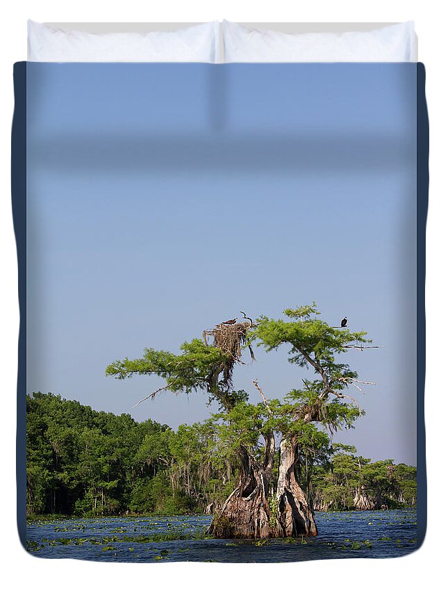 Cypress Duvet Cover featuring the photograph Cypress Osprey Duo by Paul Rebmann