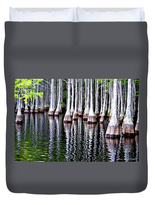 Cypress Trees Duvet Cover featuring the photograph Cypress Tree Reflection by Tara Potts