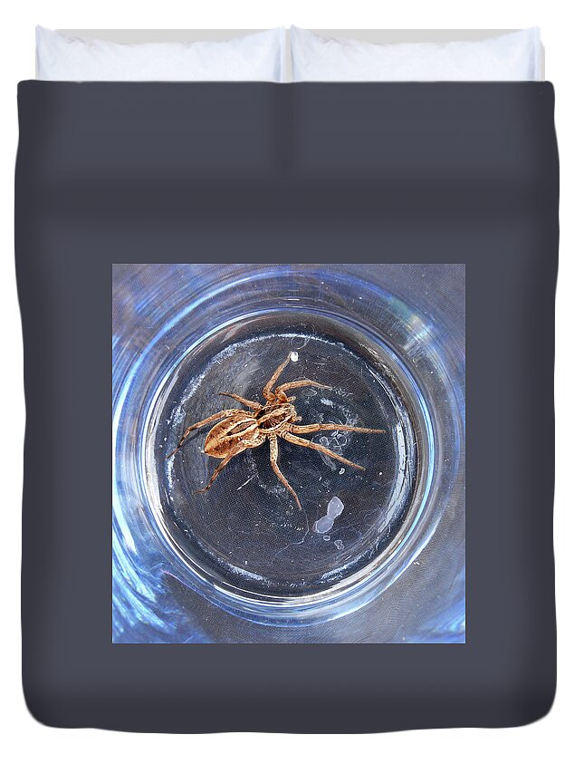Spider Duvet Cover featuring the photograph D-A0011 Wolf Spider on Sonoma Mountain by Ed Cooper Photography