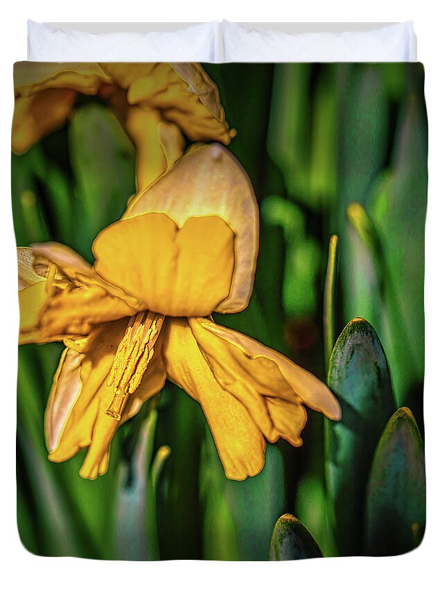 Yellow Duvet Cover featuring the photograph Daffodil among green #h4 by Leif Sohlman