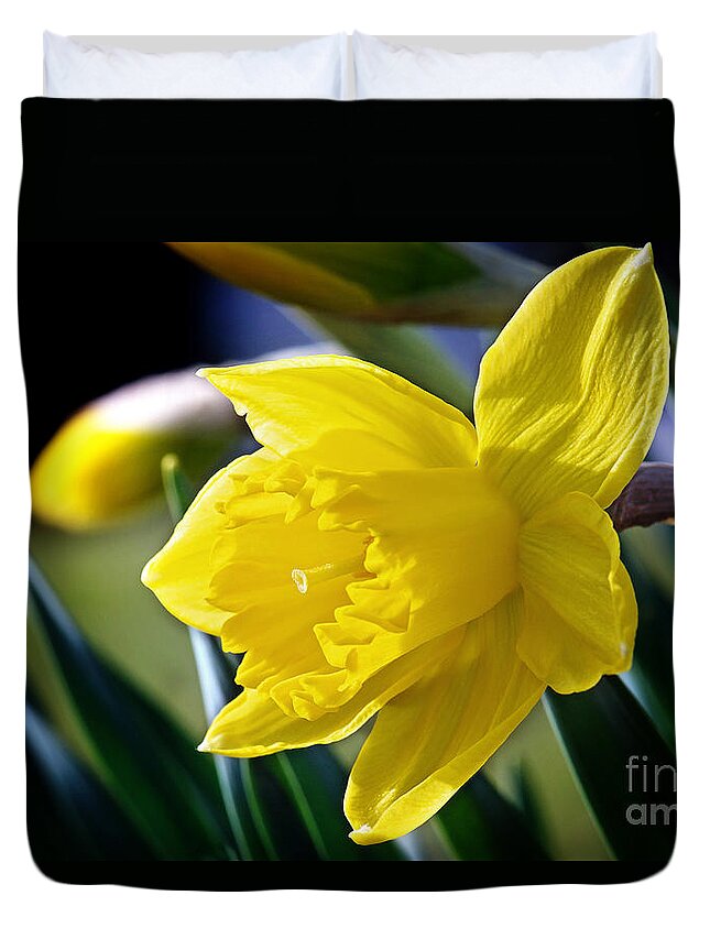 Daffodil Flower Duvet Cover featuring the photograph Daffodil Flower Photo by Gwen Gibson