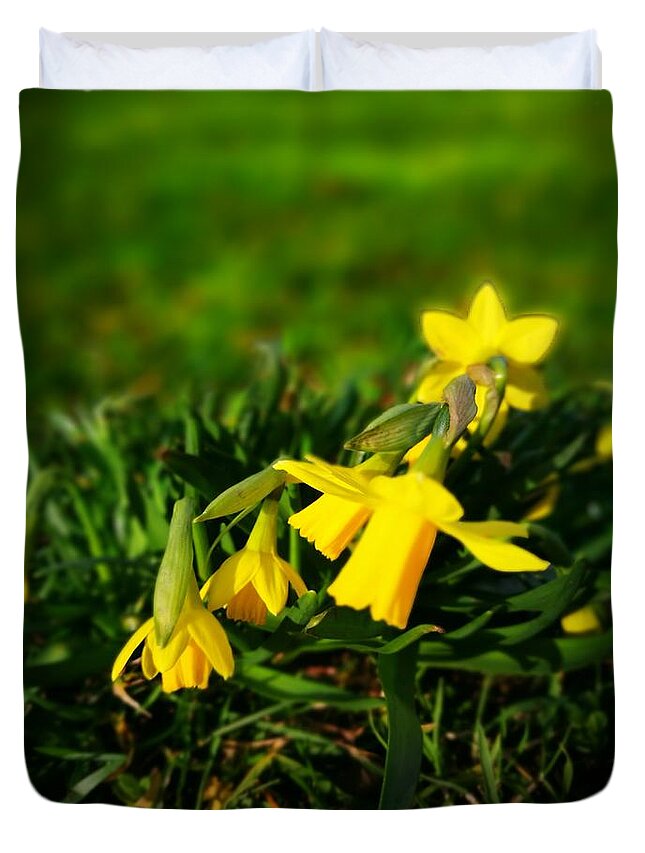 Nature Duvet Cover featuring the photograph Daffodils by Jarek Filipowicz