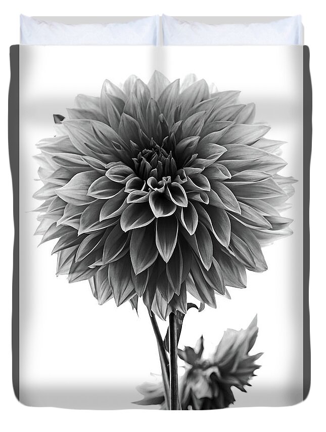 Dahlia Duvet Cover featuring the photograph Dahlia In Black And White by Mark Alder