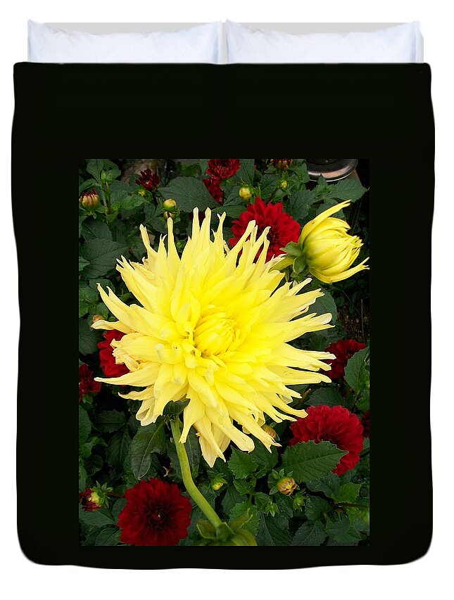 Bright Duvet Cover featuring the photograph Dahlia's by Sharon Duguay