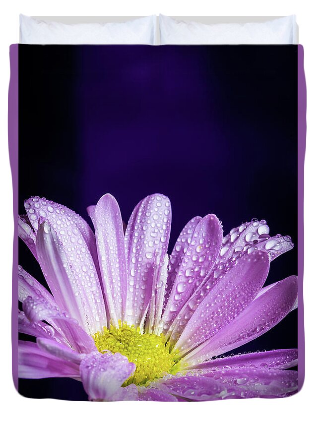Daisy Duvet Cover featuring the photograph Daisy After the Rain by Tammy Ray