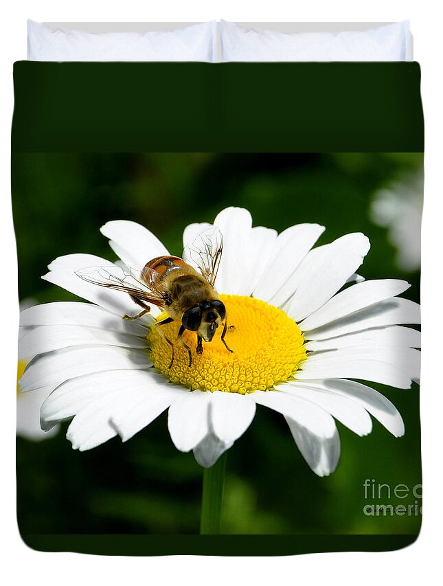 Diane Berry Duvet Cover featuring the photograph Daisy Bee Mine by Diane E Berry
