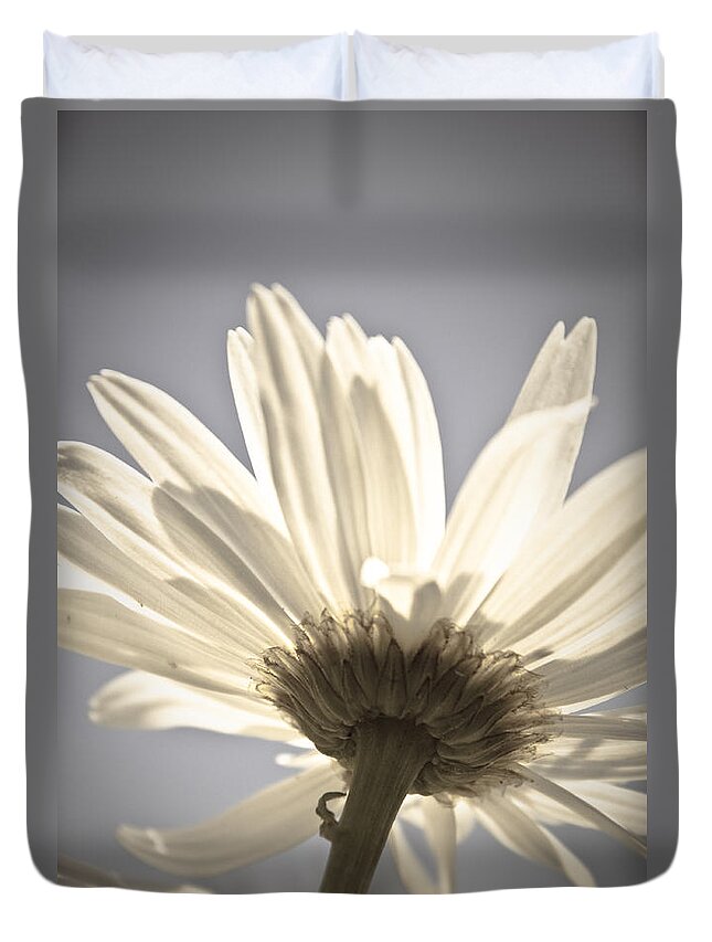 Flower Duvet Cover featuring the photograph Daisy by Danielle Silveira