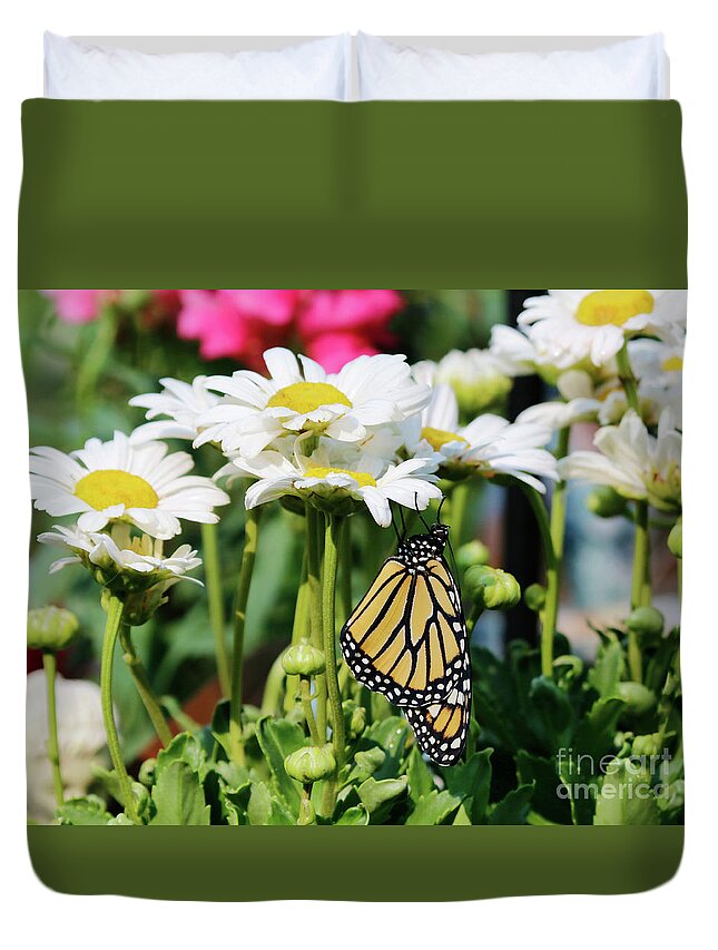 Daisy Flowers Photo Duvet Cover featuring the photograph Daisy Flowers and Butterfly Photo by Luana K Perez