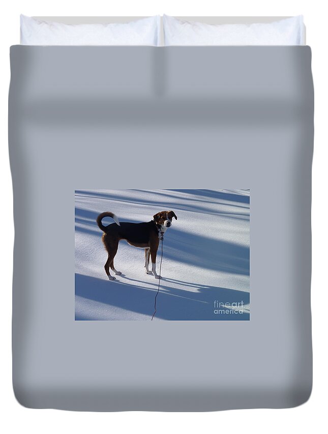 Snow Duvet Cover featuring the photograph Daisy In Snow by Nancy Anton