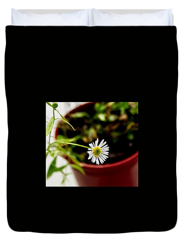 Daisy Duvet Cover featuring the photograph Daisy or What. by Elena Perelman