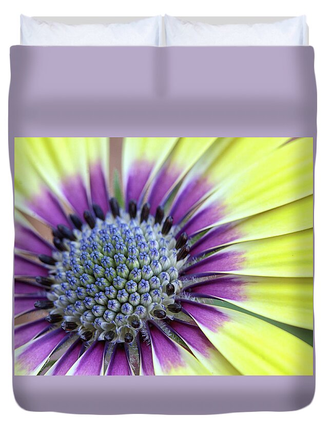 Daisy Duvet Cover featuring the photograph DaisyCenter by Terri Tiffany
