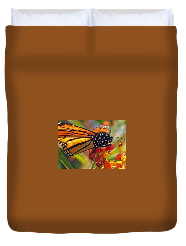 Insects Duvet Cover featuring the photograph Danaus Plexippus by Juergen Roth