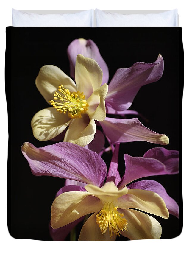 Purple Duvet Cover featuring the photograph Dancing Columbine by Tammy Pool