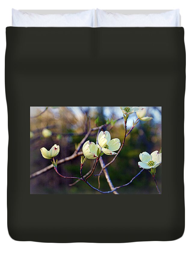 Dogwood Duvet Cover featuring the photograph Dancing Dogwood Blooms by Cricket Hackmann