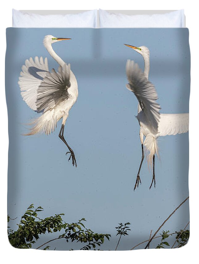 Great Egrets Duvet Cover featuring the photograph Dancing Egrets 2017-1 by Thomas Young