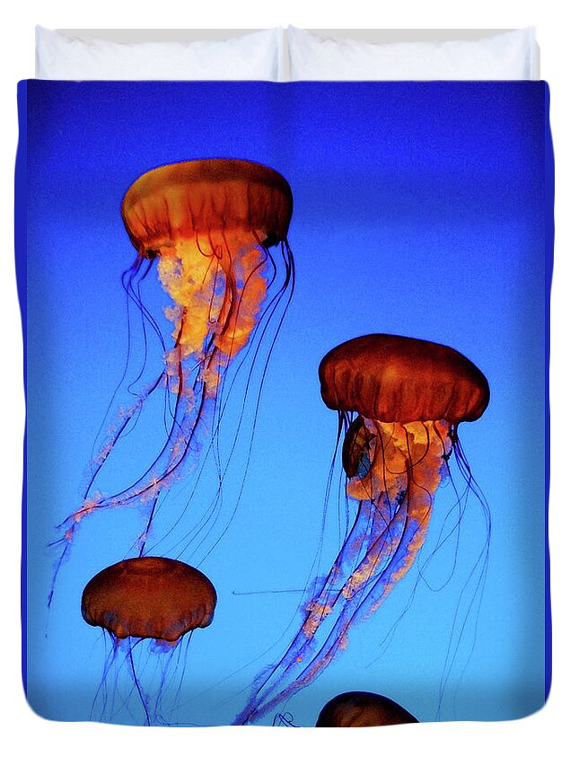 Jellyfish Duvet Cover featuring the photograph Dancing Jellyfish by Anthony Jones