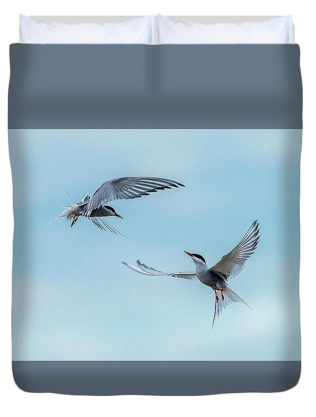 Flying Common Terns Duvet Cover featuring the photograph Dancing Terns by Torbjorn Swenelius