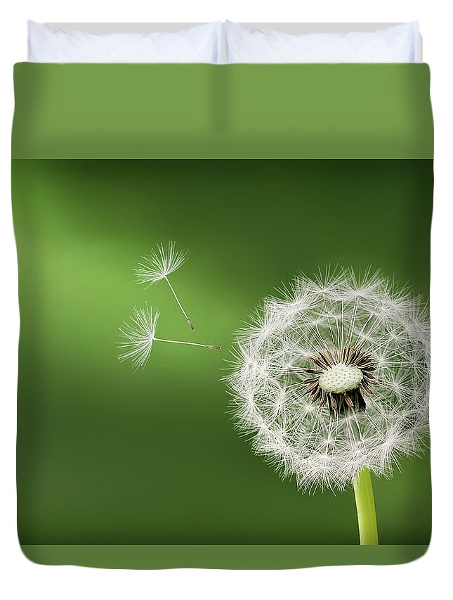 Abstract Duvet Cover featuring the photograph Dandelion by Bess Hamiti