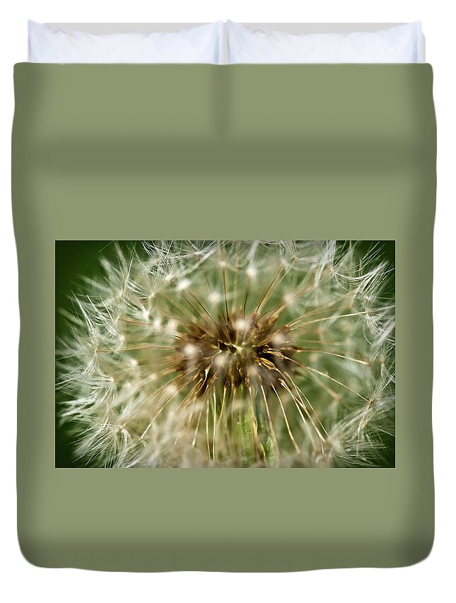 Dandelion Duvet Cover featuring the photograph Dandelion Seed Head by Onyonet Photo studios