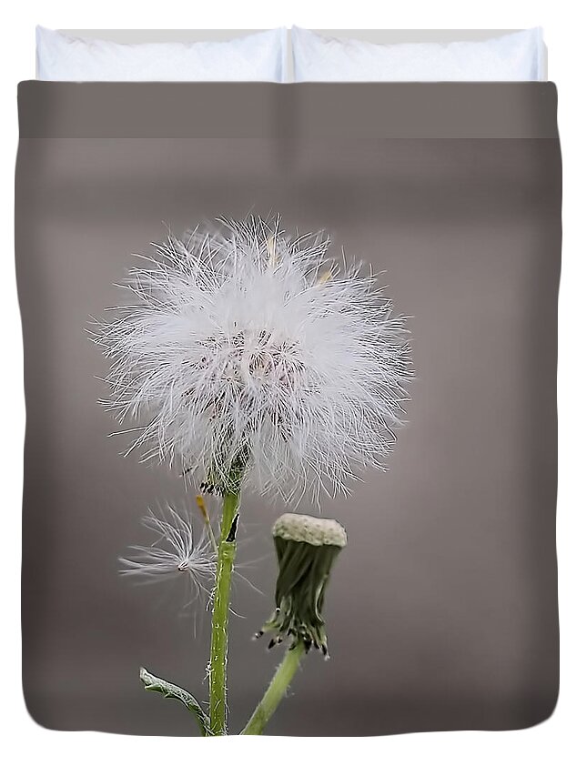  Duvet Cover featuring the photograph Dandelion Seed Head by Rona Black