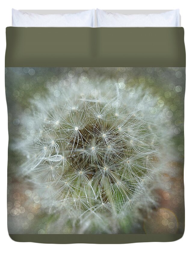 Dandelion Duvet Cover featuring the photograph Dandelions Tears by Lilia S
