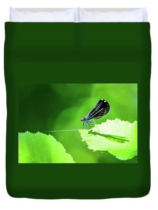 Damselfly Duvet Cover featuring the photograph Dare Me to Walk This Tightrope? by Mary Ann Artz