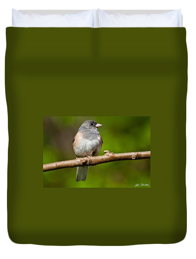 Adult Duvet Cover featuring the photograph Dark Eyed Junco Perched on a Branch by Jeff Goulden