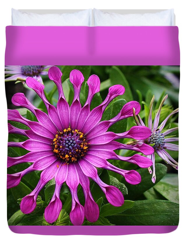 Flora Duvet Cover featuring the photograph Daisy of a Different Kind by Bruce Bley