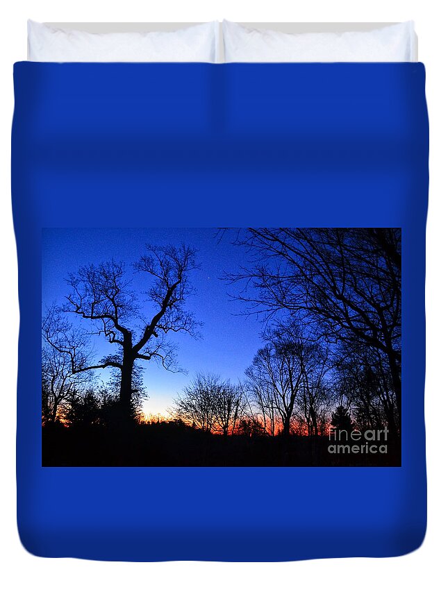 New York Duvet Cover featuring the photograph Dawn on the Farm by Dave Pellegrini