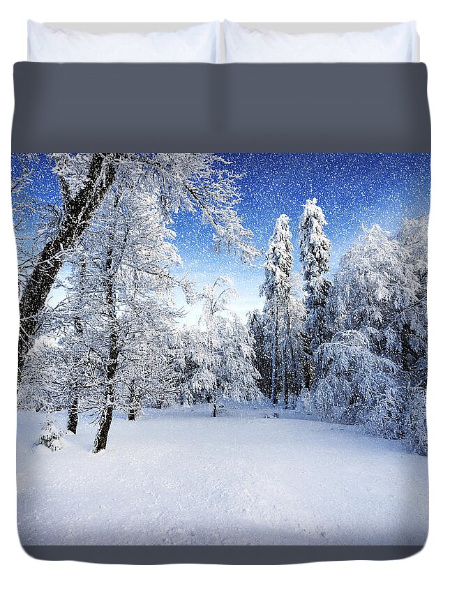 Snow Duvet Cover featuring the photograph Days To Come by Philippe Sainte-Laudy