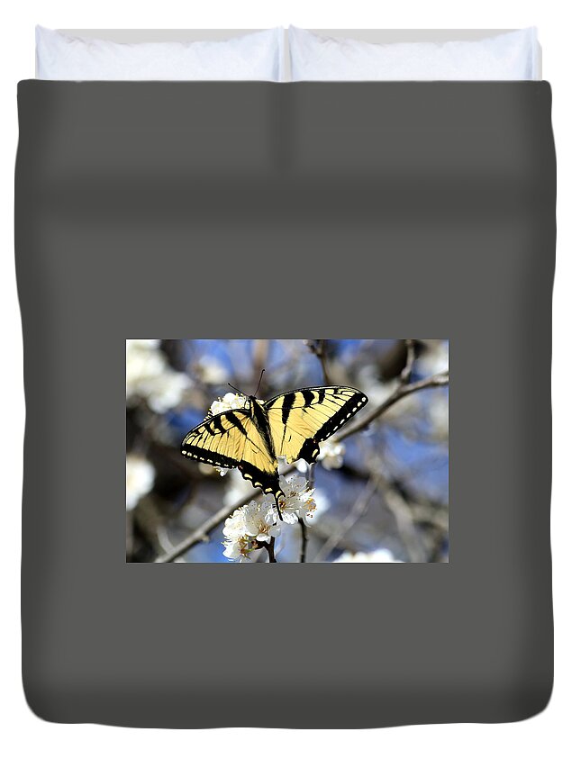Nature Duvet Cover featuring the photograph De-tailed Swallowtail by Sheila Brown