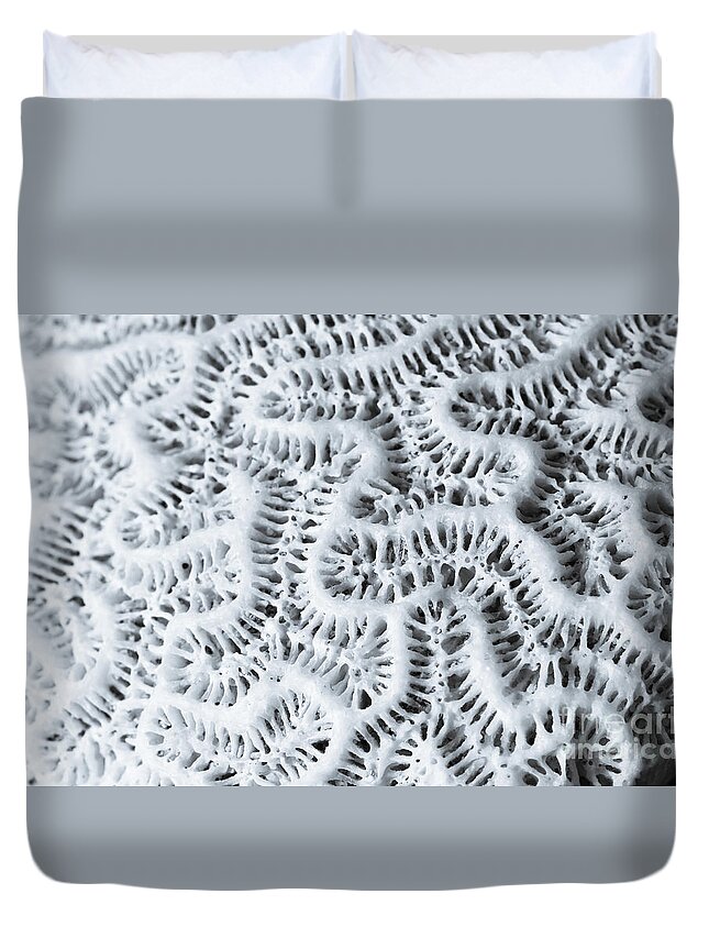 Dead Duvet Cover featuring the digital art Dead Brain Coral by Perry Van Munster