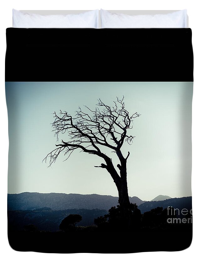 Water Duvet Cover featuring the photograph Dead tree at the sky by Raimond Klavins