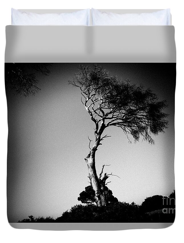 Water Duvet Cover featuring the photograph Dead tree bw by Raimond Klavins